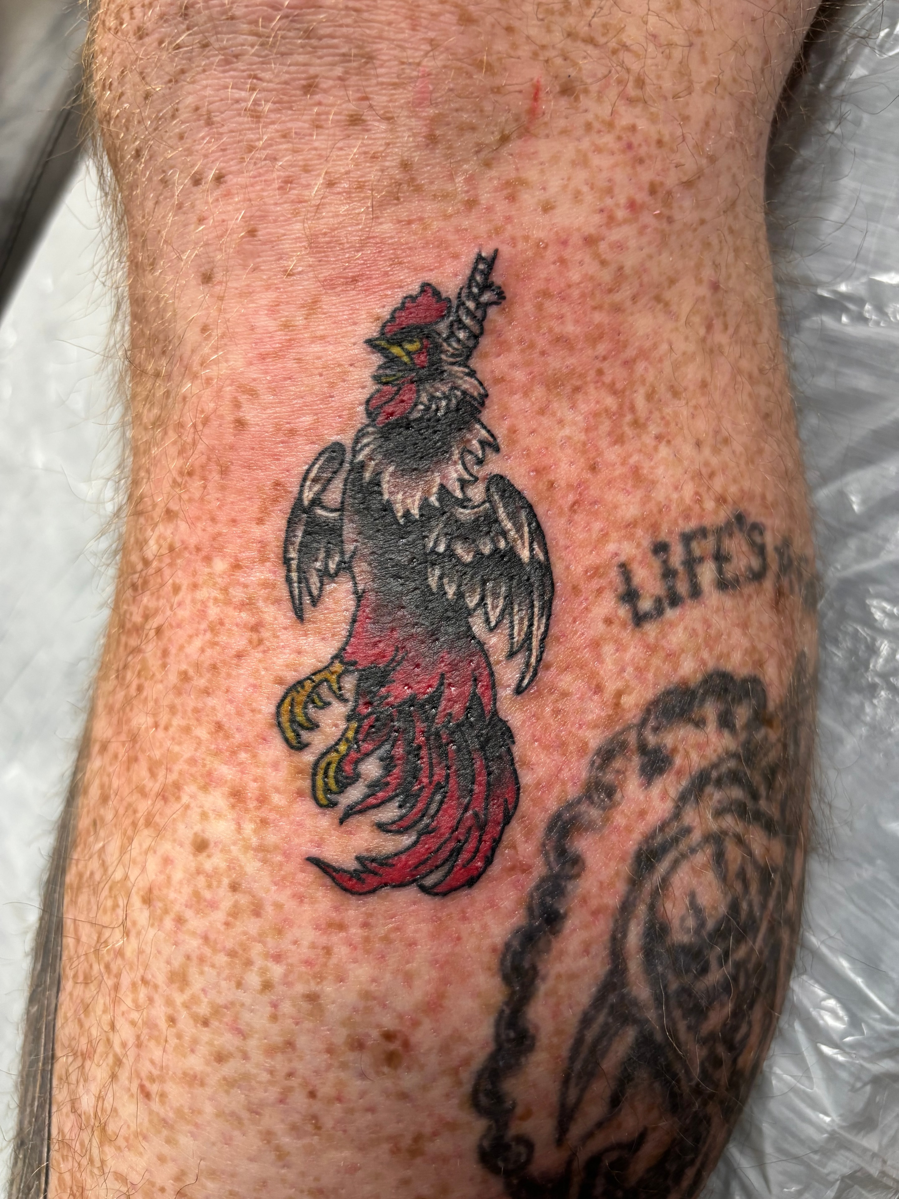 Randy DeShong traditional rooster forearm tattoo